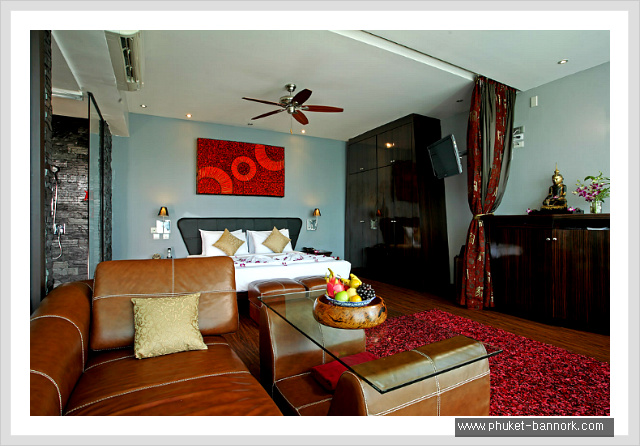 2-4premium dlx1.jpg