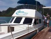 blue_ship-01.jpg